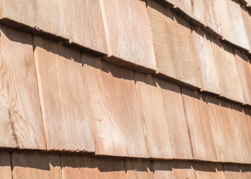 Shake Siding Installation in Camden County, GA